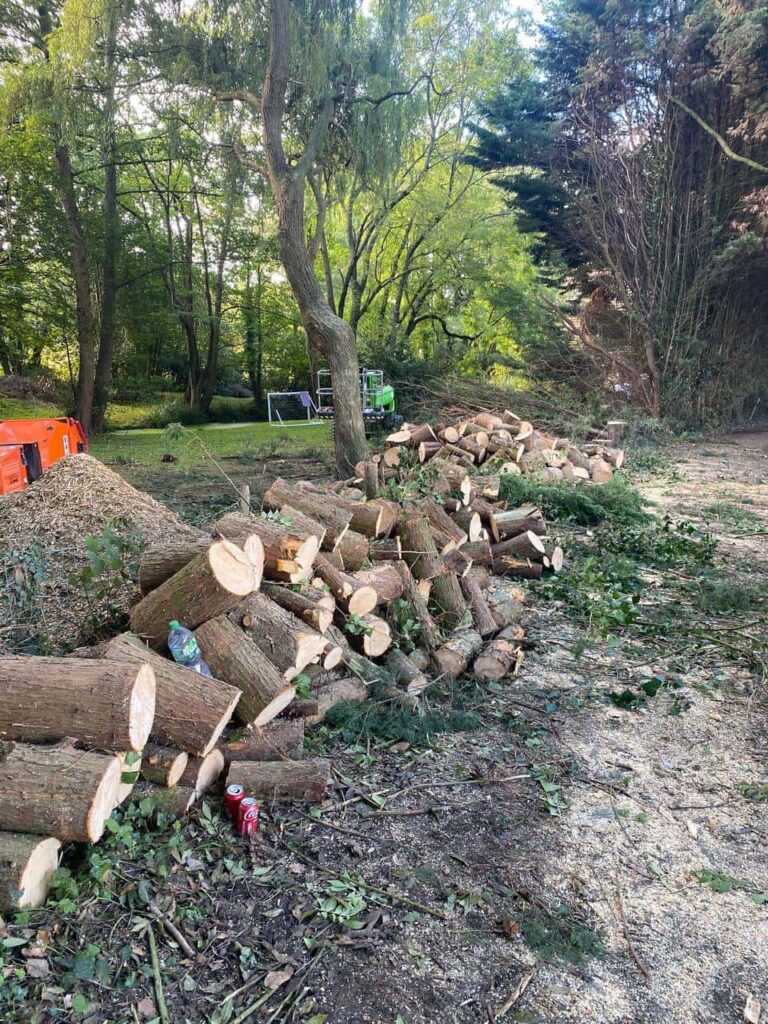 This is a photo of an overgrown large garden, which is in the process of having tree removal. The photo shows a stack of logs along the left hand side, from all the trees which are being removed. Photo taken by Lowestoft Tree Surgeons