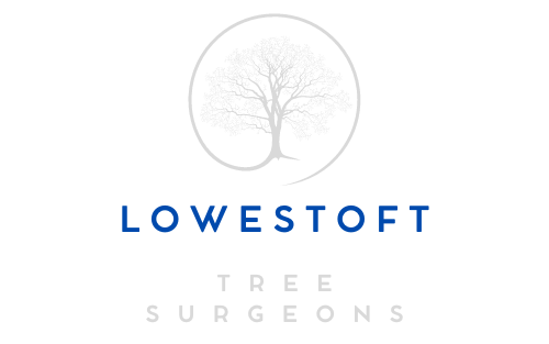 Lowestoft Tree Logo Transparent